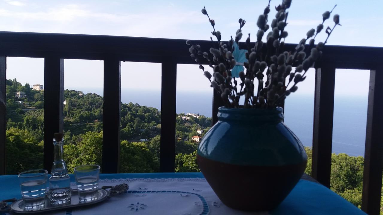 Diogenis Hotel Цагарада Екстериор снимка