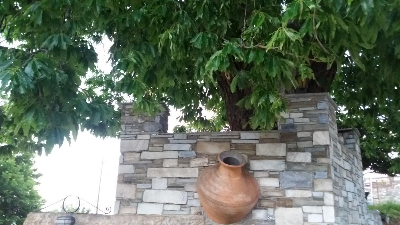 Diogenis Hotel Цагарада Екстериор снимка